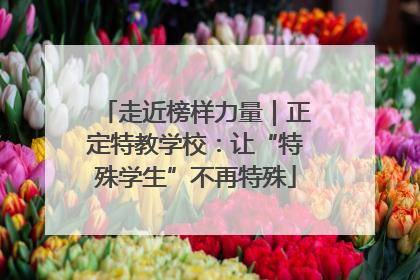 走近榜样力量｜正定特教学校：让“特殊学生”不再特殊