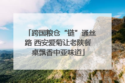 跨国粮仓“链”通丝路 西安爱菊让老陕餐桌飘香中亚味道