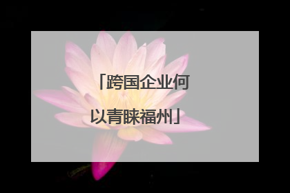 跨国企业何以青睐福州