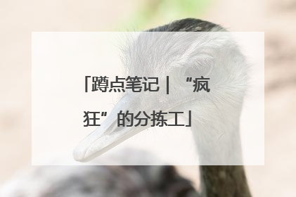 蹲点笔记｜“疯狂”的分拣工
