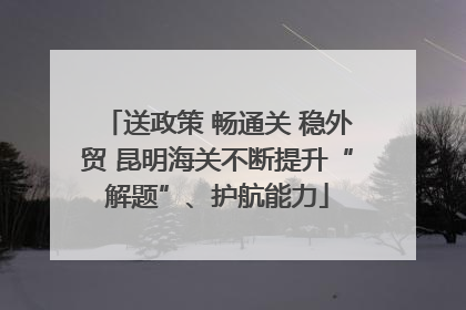 送政策 畅通关 稳外贸 昆明海关不断提升“解题”、护航能力