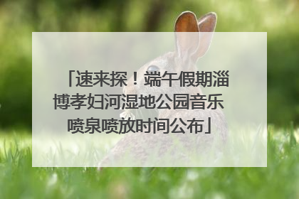 速来探！端午假期淄博孝妇河湿地公园音乐喷泉喷放时间公布