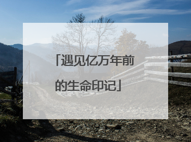 遇见亿万年前的生命印记