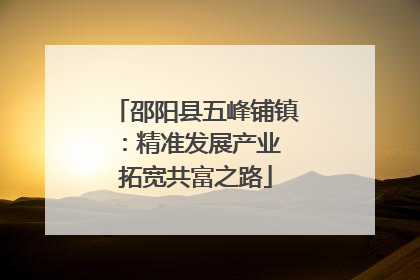 邵阳县五峰铺镇：精准发展产业 拓宽共富之路