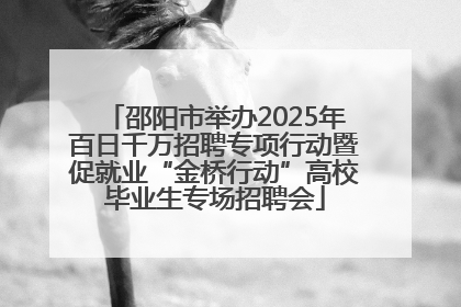 邵阳市举办2025年百日千万招聘专项行动暨促就业“金桥行动”高校毕业生专场招聘会