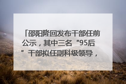 邵阳隆回发布干部任前公示，其中三名“95后”干部拟任副科级领导，均系硕士选调生