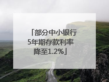 部分中小银行5年期存款利率降至1.2%