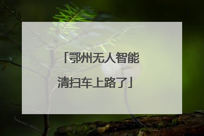 鄂州无人智能清扫车上路了