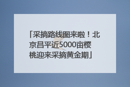采摘路线图来啦！北京昌平近5000亩樱桃迎来采摘黄金期