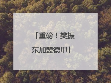 重磅！樊振东加盟德甲