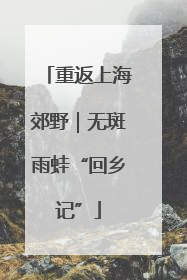 重返上海郊野｜无斑雨蛙“回乡记”