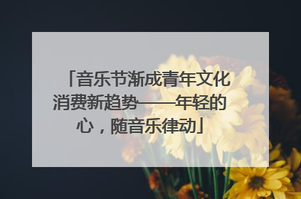 音乐节渐成青年文化消费新趋势——年轻的心，随音乐律动