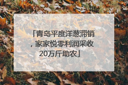 青岛平度洋葱滞销，家家悦零利润采收20万斤助农