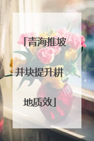青海推坡并块提升耕地质效