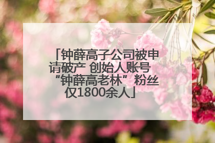 钟薛高子公司被申请破产 创始人账号“钟薛高老林”粉丝仅1800余人