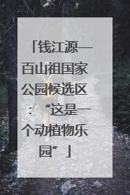 钱江源—百山祖国家公园候选区：“这是一个动植物乐园”
