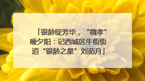 银龄绽芳华，“微孝”暖夕阳：记西城区牛街街道“银龄之星”刘茹月