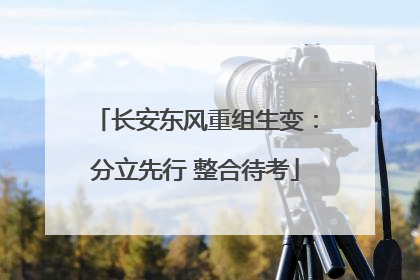 长安东风重组生变：分立先行 整合待考