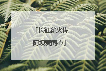 长征薪火传 阿坝爱同心