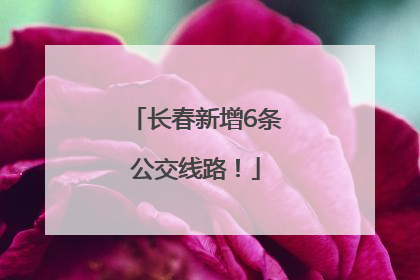 长春新增6条公交线路！
