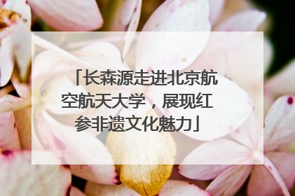 长森源走进北京航空航天大学，展现红参非遗文化魅力