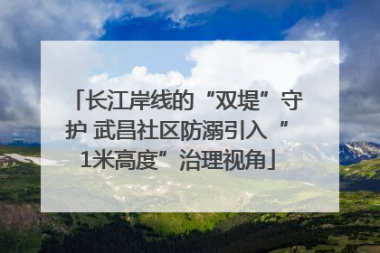 长江岸线的“双堤”守护 武昌社区防溺引入“1米高度”治理视角