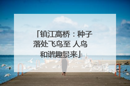 镇江高桥：种子落处飞鸟至 人鸟和谐趣景来