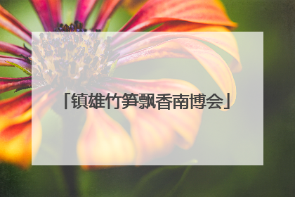 镇雄竹笋飘香南博会