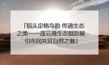镜头定格鸟韵 传递生态之美——连云港生态摄影展引市民共赏自然之魅