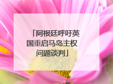 阿根廷呼吁英国重启马岛主权问题谈判