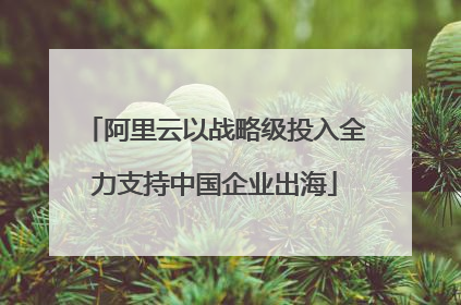 阿里云以战略级投入全力支持中国企业出海