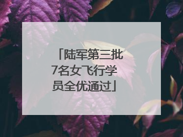 陆军第三批7名女飞行学员全优通过