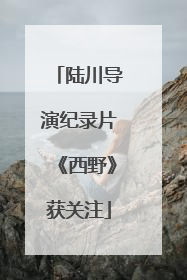 陆川导演纪录片《西野》获关注
