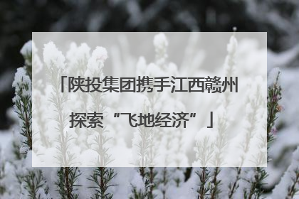 陕投集团携手江西赣州 探索“飞地经济”