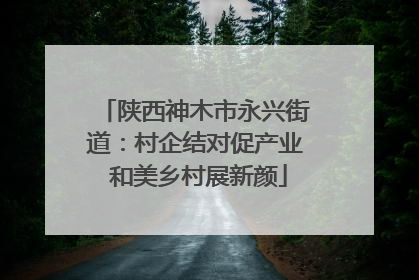 陕西神木市永兴街道：村企结对促产业 和美乡村展新颜