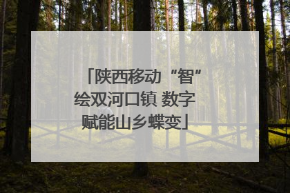 陕西移动“智”绘双河口镇 数字赋能山乡蝶变