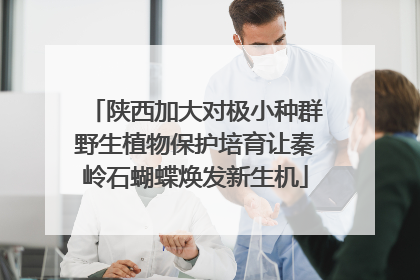 陕西加大对极小种群野生植物保护培育让秦岭石蝴蝶焕发新生机