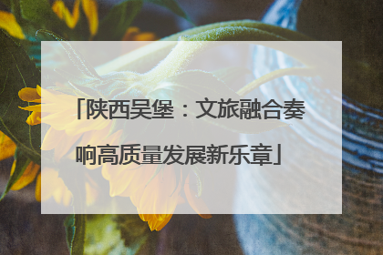 陕西吴堡：文旅融合奏响高质量发展新乐章