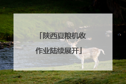 陕西夏粮机收作业陆续展开