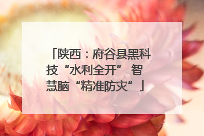 陕西：府谷县黑科技“水利全开” 智慧脑“精准防灾”