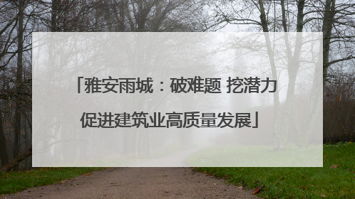 雅安雨城：破难题 挖潜力 促进建筑业高质量发展