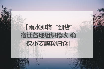 雨水即将“到货” 宿迁各地组织抢收 确保小麦颗粒归仓