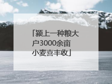 颍上一种粮大户3000余亩小麦喜丰收
