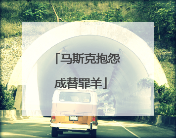 马斯克抱怨成替罪羊
