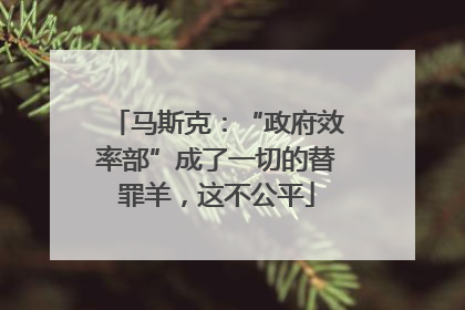 马斯克：“政府效率部”成了一切的替罪羊，这不公平