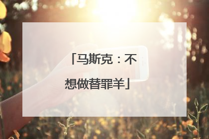 马斯克：不想做替罪羊
