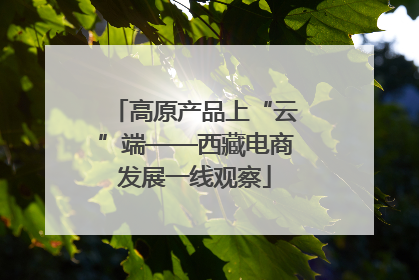 高原产品上“云”端——西藏电商发展一线观察