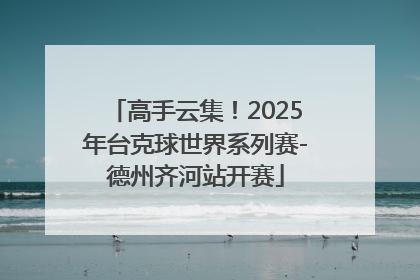 高手云集！2025年台克球世界系列赛-德州齐河站开赛