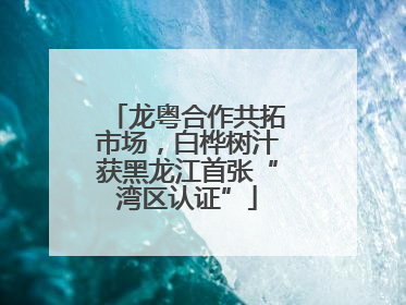 龙粤合作共拓市场，白桦树汁获黑龙江首张“湾区认证”