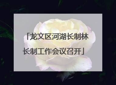 龙文区河湖长制林长制工作会议召开